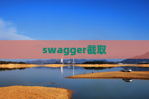 swagger截取